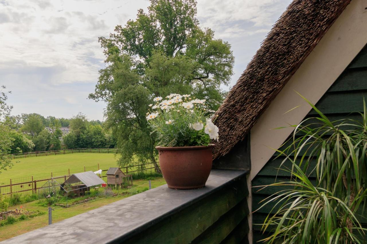 Apartamento Het Grote Paard Havelte Exterior foto